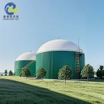 Gas Storage Double Membrane PVC Biogas Balloon On Biogas Digester 20m3 To