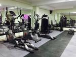 commercial recumbent bike
