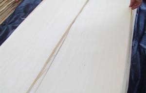 China Basswood Natural Rotary Cut Veneer MDF For Plywood wholesale