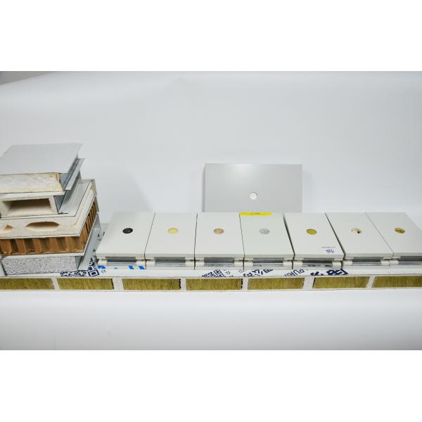 Customized Cleanroom Wall Panels Construction Cleanroom Wall Systems 50mm 75mm