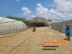 tunnel green house vegetable lettuce pe film greenhouse with nft
