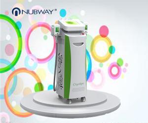 China whole year biggest promotion activity fat removal silmutaneous double handle super -15℃ Cryolipolysis body slimming wholesale