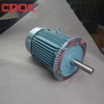 185KW-1600KW High Temperature Electric Motor 3KV-11KV Special Enhanced Spindle