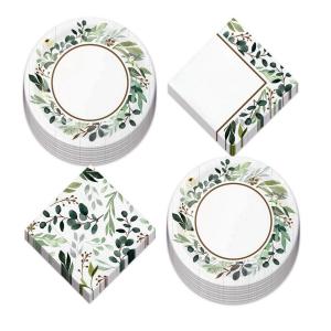 China Green Birthday Decor Compostable Disposable Paper Tableware wholesale