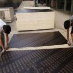 brown film faced plywood made in Hebei