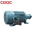 High Efficiency Induction Electric Motor 8hp 6kw For Glass Edge Straightening