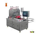 220V 3kw Commercial Pineapple Soft Candy Maker Gummy Candy Making Machine with