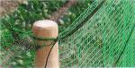 Polyethylene Knitted Mesh Anti-animal Bird Protection Net In Agriculture Plants