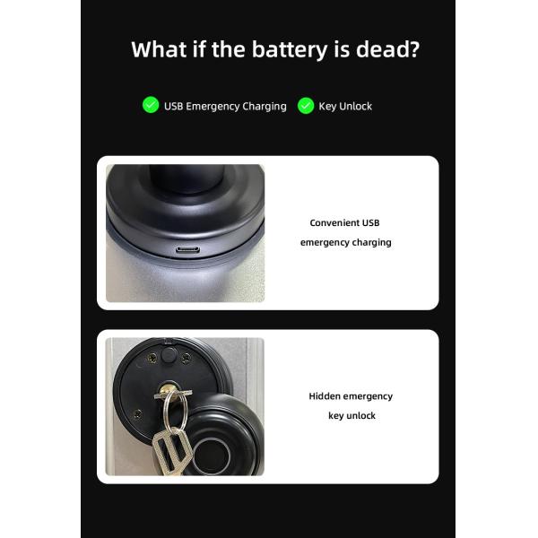 Compatible Door Knob Smart Lock OEM Tuya Electronic Door Locks