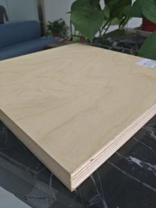 China Birch veneer plywood,face and back birch.poplar core.9mm,12mm,14mm,18mm,21mm,25mm,BIRCH PLYWOOD,POPLAR CORE, on sale