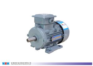 China IE5 Grade Cast Iron High Efficiency Electric Motors For Boosters wholesale