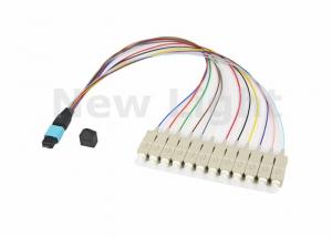 China Multi Mode OM3 MPO MTP Cable 12 Cores / 24 Cores For Storage Area Networking Fiber Channel wholesale