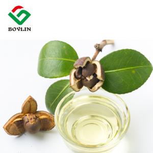 China CAS 225233-97-6 Cosmetic Grade Camellia Seed Oil For Skin Hair on sale