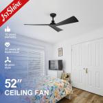 Black Finish DC Motor 5 Speeds Remote Control 3 ABS Blades Ceiling Fan Without