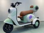 Fat Tyre Electric Scooter Tricycle 14 Inch 48v 500w 20Ah Electric Chariot