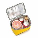 Pantone Insulated Cooler Bags Reusable With Aluminum Film