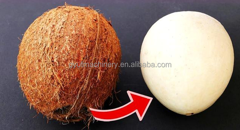Versatile Coconut Shelling Machine for Fruit Processing Plants 2550*600*730mm