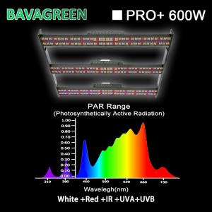 China Samsung lm301H Full Spectrum LED Grow Lights 4X4 Tent 600W Preassembled wholesale