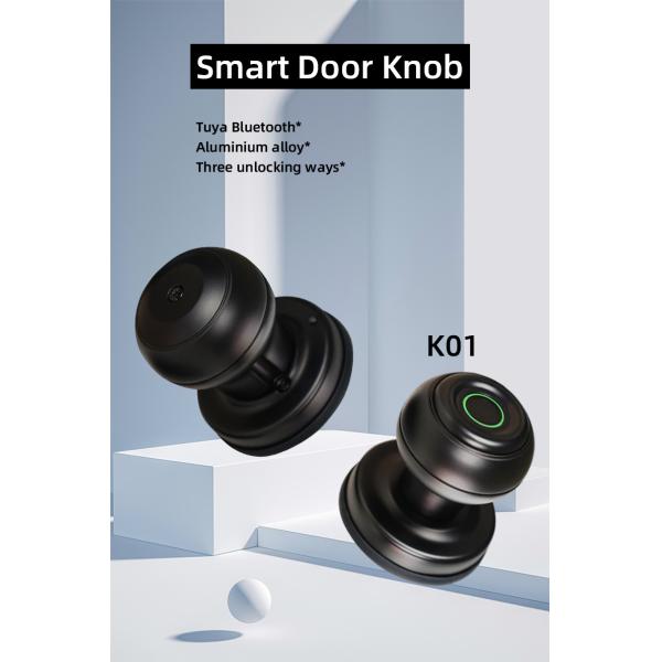 Compatible Door Knob Smart Lock OEM Tuya Electronic Door Locks
