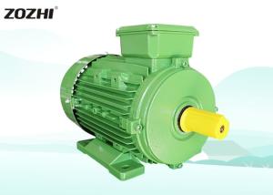 China IE2 Standard Three Phase Induction Motor , AC Electric Motor 4 Pole 380V 50HZ wholesale