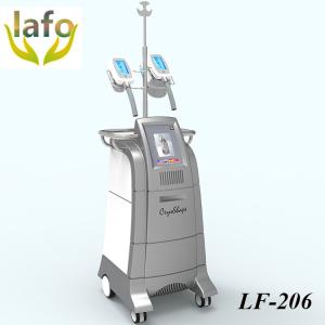 China HOTTEST 4 handpiece professional Cryolipolysis Machine, Cryolipolysis Slimming Machine, Cryolipolysis Fat Freezing Machi wholesale