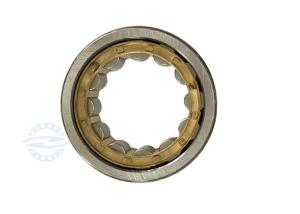 China NJ202 Cylindrical Roller Bearing For Motor Pump Size 15x35x11mm wholesale