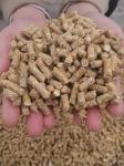 Pellet press machine