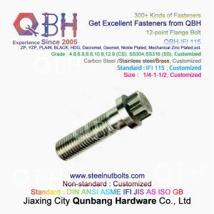 China QBH IFI115 - 2002 Gas Turbine Power Plant Aerospace SS304 SS316 Plain 1/4 To 1-1/2 Inch Flange 12-Point 12 Spline Screws wholesale