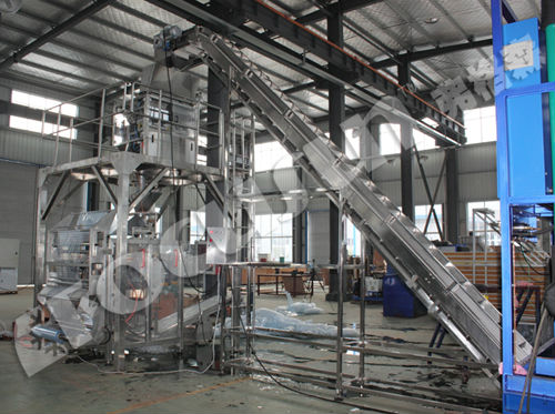 Medical Grade Full-Automatic Ice Packer 500 KG Capacity for Easy Operation