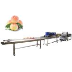 Fruit Vegetable Washing And Drying Machine Vegetable Production Line