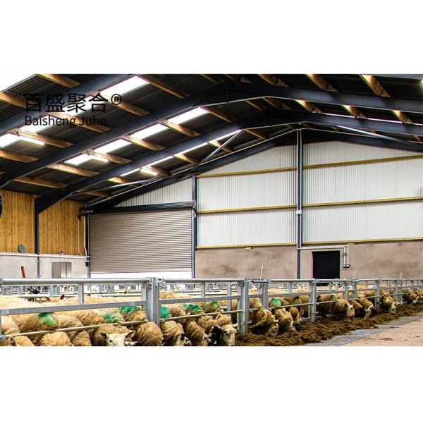 Aluminum Alloy Window Metal Goat Farm Shed Design Steel Structure Sheep House