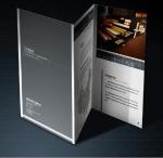 Customized Advertising Agency Business Cards Catalog Banner Printing