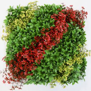 China Customized Decorative Artificial Green Walls Plant Panel 20mm Plastic Foliage For Hedge wholesale