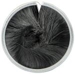 Nylon PP Bristle Industrial Dock Leveler Brush Ring Seal