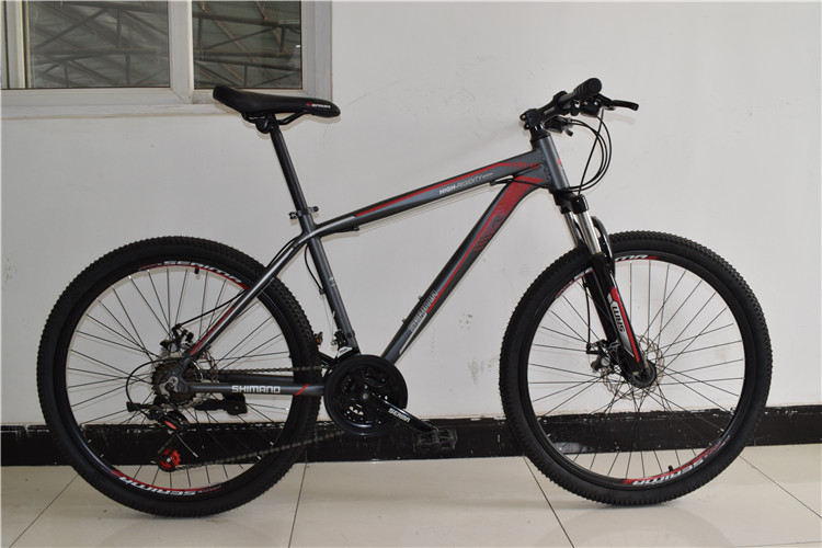 Made in China CE standard 26 inch steel 21 speed mountain bike MTB bicycle/bicicle