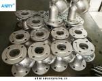 Flanged Ends RF 10K Stainless Steel SUS304 Mesh Y Type Strainer