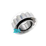 hydraulic pump cylindrical roller bearing RSL183018-A-XL Cylindrical Roller