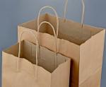 Portable brown paper bag