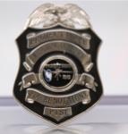 Shinny Silver Plating Zinc Alloy 4inch Metal army and police badge