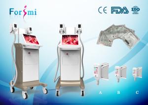 China 3~5kg weight Reduction by 1 treatment 3.5 inch Cryolipolysis Slimming Machine FMC-I cryolipolysis machine wholesale