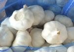 6.0cm Fresh Normal Garlic Natural Agricultural Products