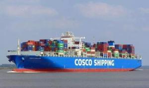 China Cargo Shipping Service From China to Belgrade by Sea Shipping on sale