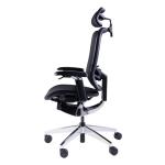 5D Armrest Lumbar Support Adjustment Desk Chair High Back Swivel Office Chairs