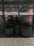 Custom Durable Outdoor Plastic Flower Pots Rotational Moulds