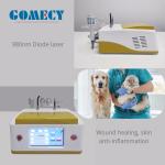 980nm Diode Laser Pet Class IV Laser Therapy Pain Reduce Veterinary Laser