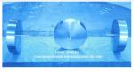 AIR VENT FLOAT DISC (FLOATERS) - YANGZHOU FEIHANG SHIP ACCESSORIES FACTORY