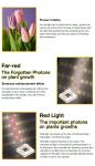 ETL 730nm 660nm UV IR LED Grow Light 30W Led Indoor Grow Lights