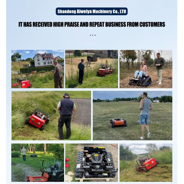 Durable Gasoline Flail Mower With Powerful Engine for Efficient Grass Cutting and Lawn Care Flail Mower