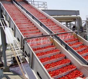 China SUS 304 / 316 Tomato Ketchup Sauce Production Line Machinery Mechanized Production wholesale