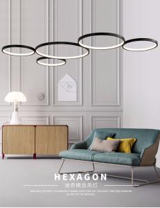 China Aluminum lamp body simple, warm, two color, fantastic concept Chandelier wholesale